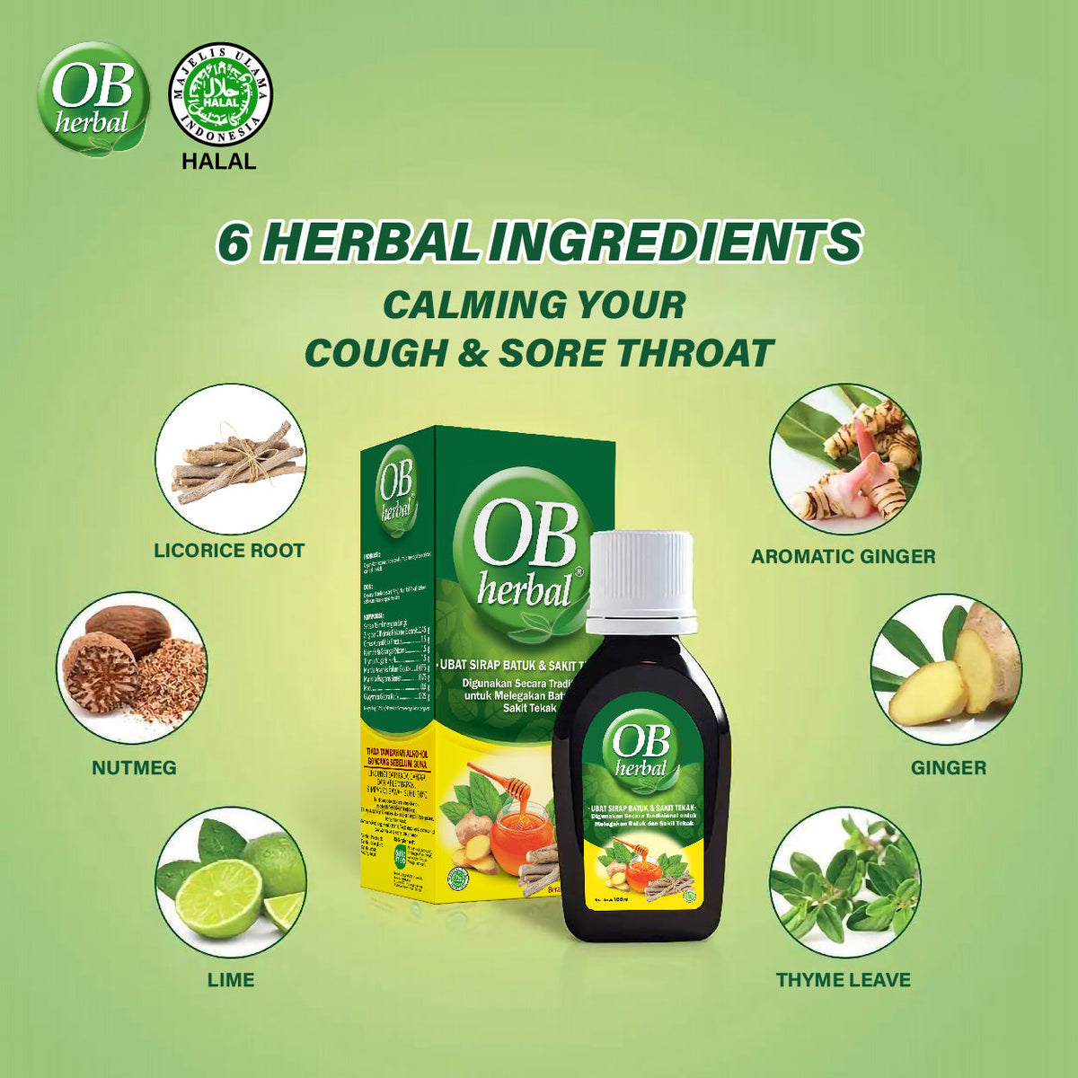 OB Herbal Syrup 100ml | For Cough And Sore Throat
