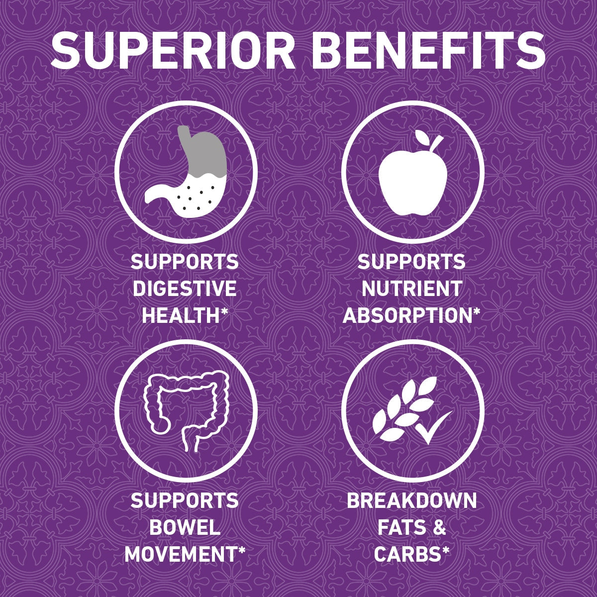 Nano Singapore Digestive Enzymes Formula 60s | May Relief Stomach Discomfort