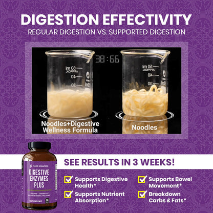 Nano Singapore Digestive Enzymes Formula 60s | May Relief Stomach Discomfort